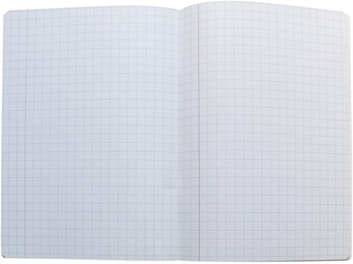 Cahier Oxford School A4 carreau 10x10mm 72 pages 80g assorti 1 Stuk-3