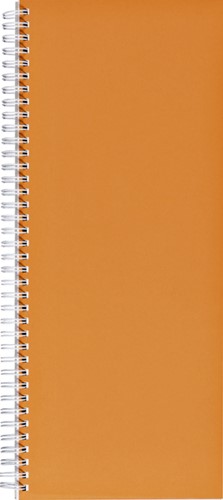 Notitieboek 135x330mm lijn 160blz 70gr spiraal or 1 Stuk