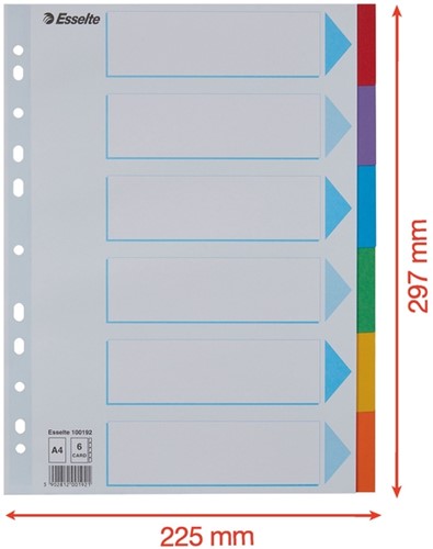 Intercalaire Esselte Standart A4 6 onglets 11 perf carton assorti 1 Set-5