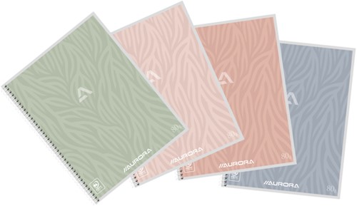 Schrift Aurora A5 lijn 120pag 80gr assorti 1 Stuk