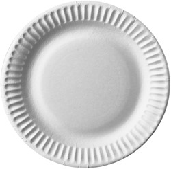Assiette IEZZY Ø150mm carton blanc 100 pièces 100 Stuk