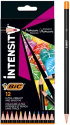 Crayon de couleur BIC Intensity Premium étui 12 couleurs 12 Stuk