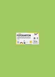 Carton photo Folia 50x70cm 300g 10 feuilles n° 51 vert clair 1 Stuk