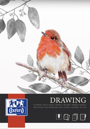 Bloc à dessin Oxford Drawing A4 40 feuilles 160g 1 Stuk