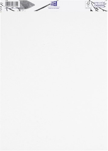 Bloc à dessin Oxford Drawing A4 40 feuilles 160g 1 Stuk-1
