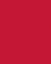 Carton bricolage Folia 48x68cm 400g n° 211 rouge 1 Stuk