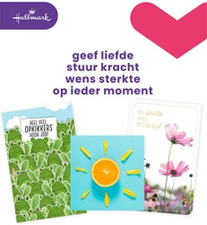 Wenskaart Hallmark Business Box beterschap 12st 12 Stuk