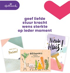 Carte de voeux Hallmark Business Box divers (NL) recharge 12 pièces 12 Stuk
