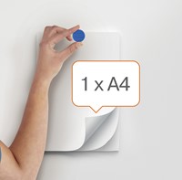 Aimant Nobo 13mm assorti 10 pièces 10 Stuk-1