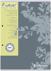 Bloc de cours Clairefontaine Forever Calligraphe A4 carr 5x5mm 2 perf 200 pages 70g gris 1 Stuk