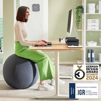Actieve zitbal Leitz Ergo 55cm anti-rol donkergs 1 Stuk-4