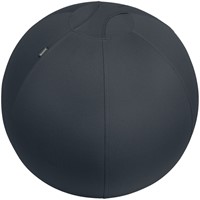 Actieve zitbal Leitz Ergo 65cm anti-rol donkergs 1 Stuk