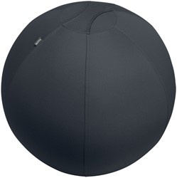 Actieve zitbal Leitz Ergo 75cm anti-rol donkergs 1 Stuk