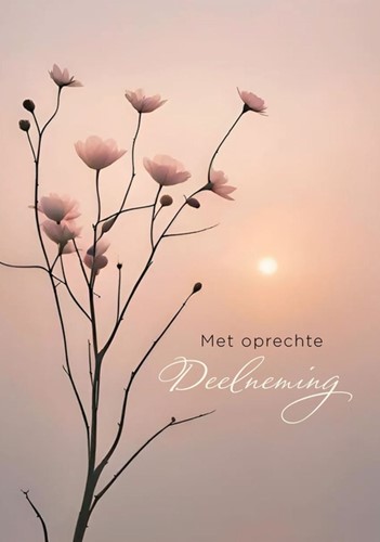 Wenskaart Hallmark condoleance bloemen 6 stuks 6 Stuk