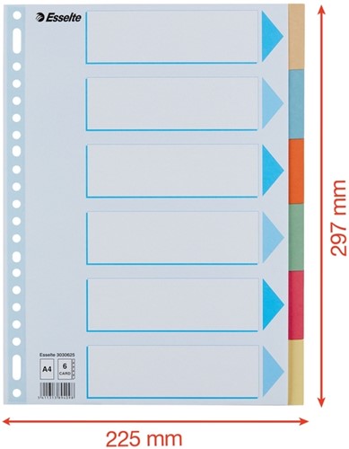 Intercalaire Esselte Premium A4 6 onglets 23 perf carton assorti 1 Stuk-2