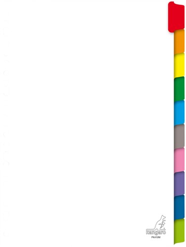Tabblad Kangaro 23r PK410M 10 delig wit karton 1 Set