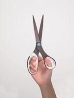 Schaar Scotch 20cm titanium blister 1 Stuk-1