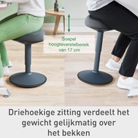 Actieve zitkruk Leitz Ergo met comfortzitting 1 Stuk-15