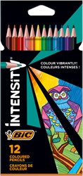 Crayon de couleur BIC Color Up 12 couleurs 12 Stuk