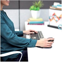 Ergonomische muis Fellowes Penguin draadloos large 1 Stuk-1