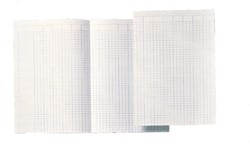Papier comptable Djois Atlanta folio 14 colonnes 100 feuilles 100 Vel
