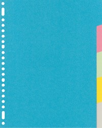 Intercalaire Kangaro RY405M A4 23 perforations 5 onglets carton assorti 1 Set