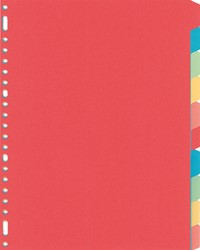 Intercalaire Kangaro PE410M A4 23 perforations 10 onglets carton assorti 1 Set