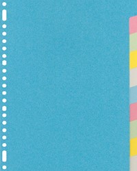 Intercalaire Kangaro RY410M A4 23 perforations 10 onglets carton assorti 1 Set