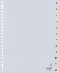 Tabblad Kangaro 23r G412CM 1 12 genummerd grijs PP 1 Set