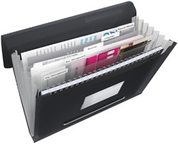Trieur Esselte Vivida A4 6 compartiments PP noir 1 Stuk