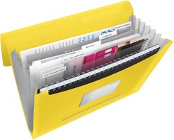 Trieur Esselte Vivida PP 6 compartiments jaune 1 Stuk