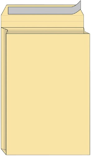 Envelop Quantore monsterzak 262x371x38 170gr zk cr 125 Stuk