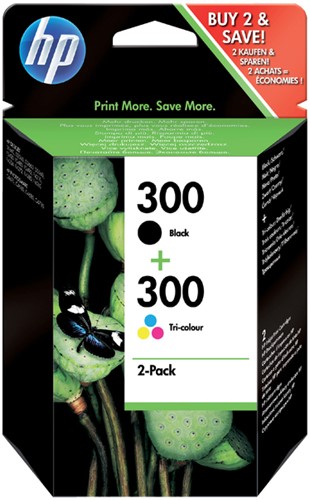 Cartouche d’encre HP CN637EE 300 noir+couleur 2 Stuk