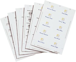 Bristol badge Durable 1456 imprimable 60x90mm 160 pièces 160 Stuk