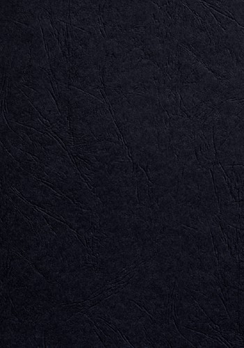 Couverture Fellowes A4 similicuir noir 100 pièces 100 Stuk-2
