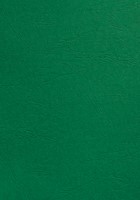 Couverture GBC A4 similicuir groen 100 pièces 100 Stuk