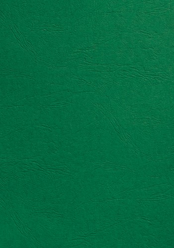 Couverture GBC A4 similicuir groen 100 pièces 100 Stuk