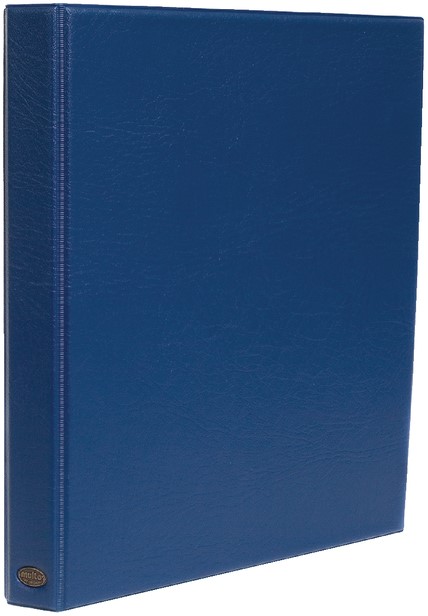Classeur à Anneaux A4 Motif Dragon Bleu Manga - 200 Feuilles Avec Clip De Maintien, Grand Organiseur Pour Maison, École, Bureau