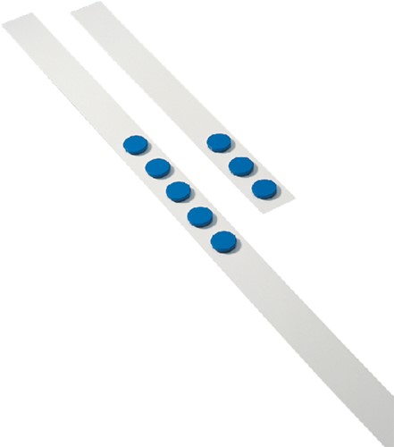 Bande murale Desq 100cm avec 5 aimants bleus 32mm 1 Set